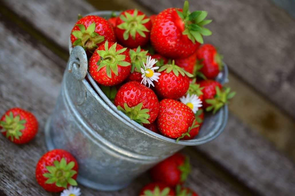 新鲜的草莓形象