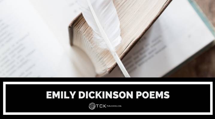 8个最佳艾米莉狄金森诗歌来反思