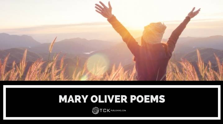 7玛丽奥利弗诗歌会让你欣赏自然